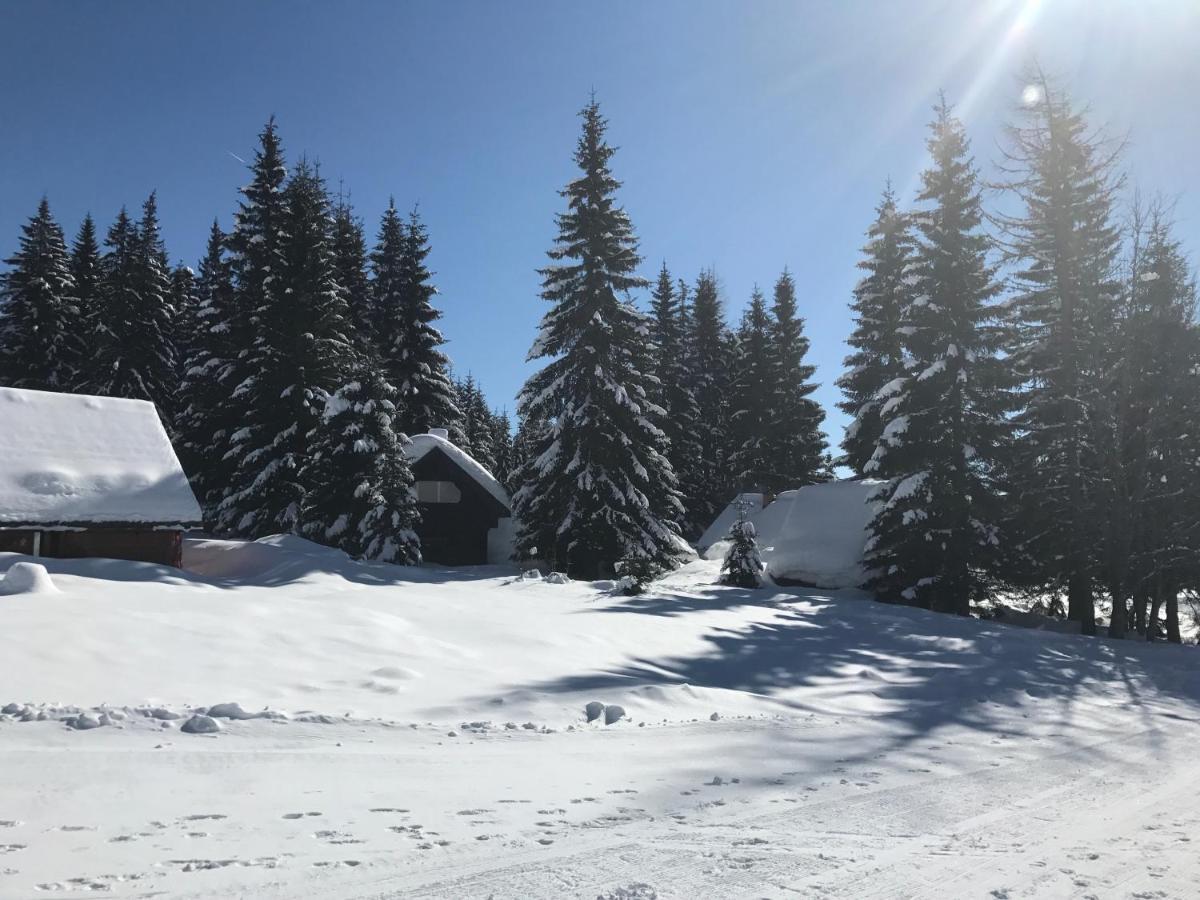 Chalet Stara Jelka Pokljuka Zgornje Gorje Exterior foto