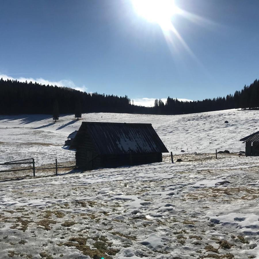 Chalet Stara Jelka Pokljuka Zgornje Gorje Exterior foto