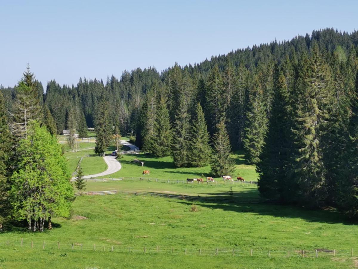 Chalet Stara Jelka Pokljuka Zgornje Gorje Exterior foto