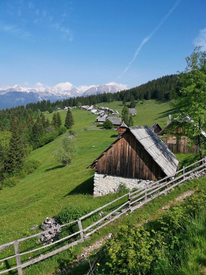 Chalet Stara Jelka Pokljuka Zgornje Gorje Exterior foto