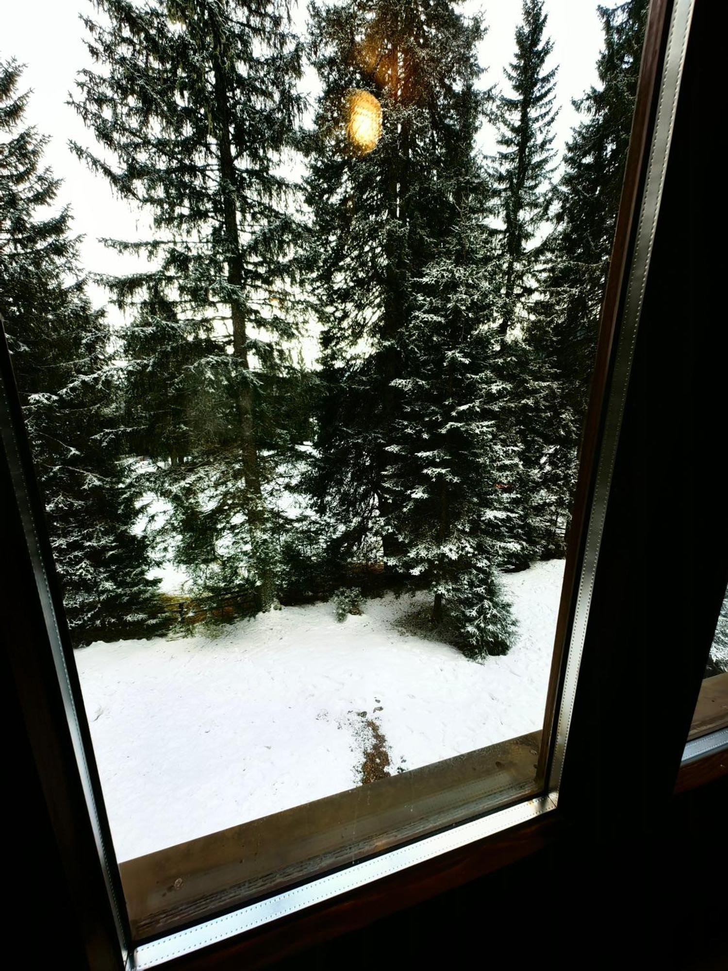 Chalet Stara Jelka Pokljuka Zgornje Gorje Exterior foto